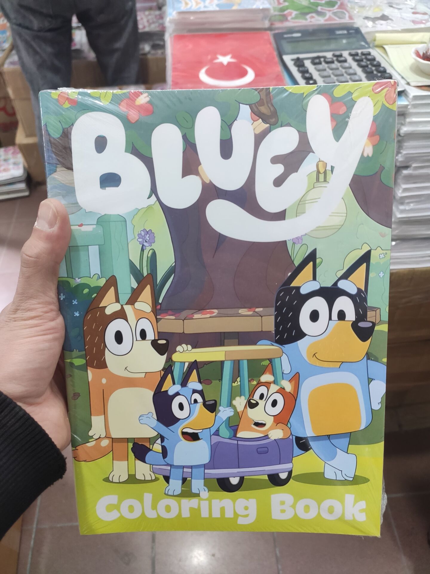 Toptan Bluey temalı çok yönlü defter